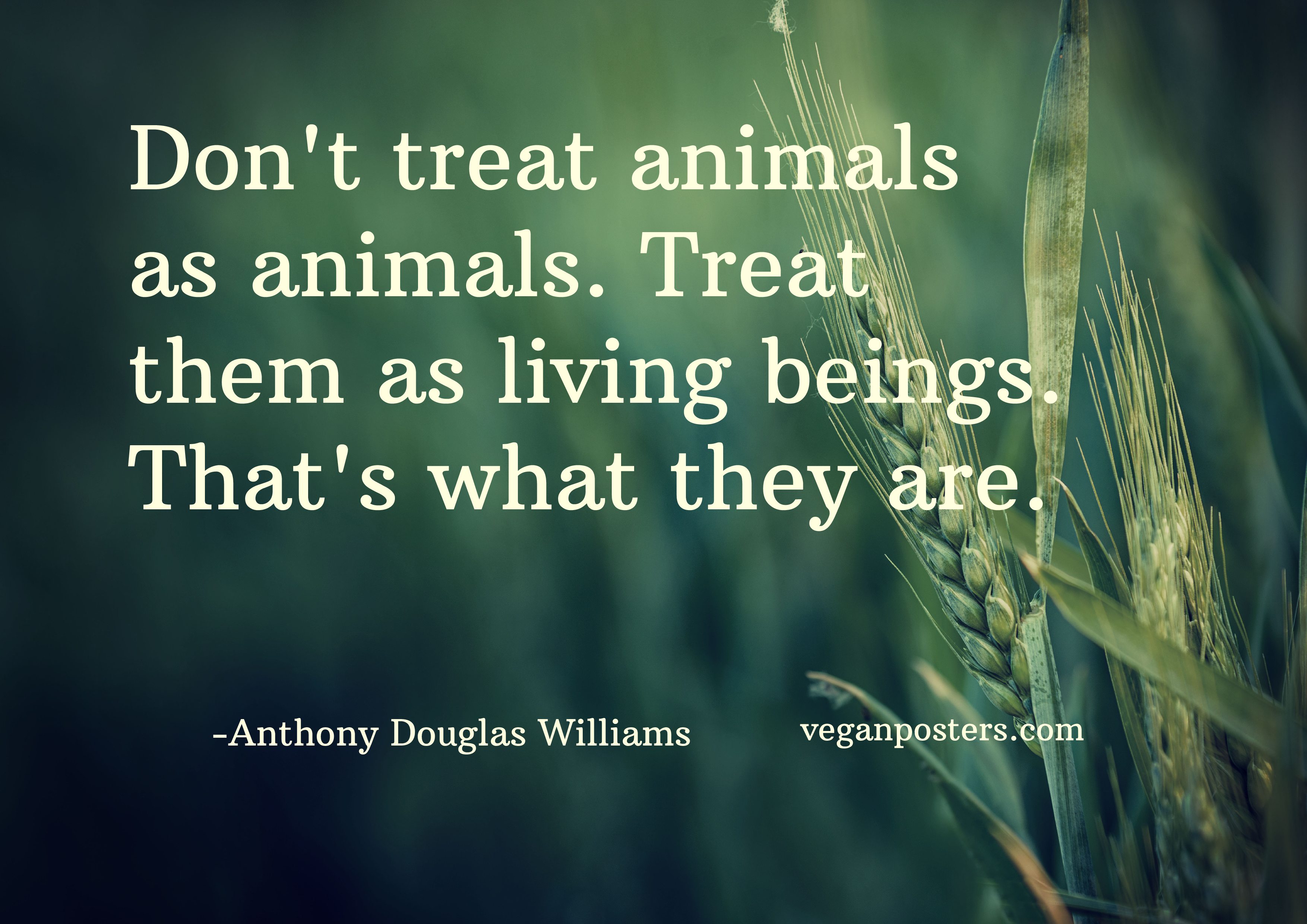 Don't treat animals as animals | Vegan Posters