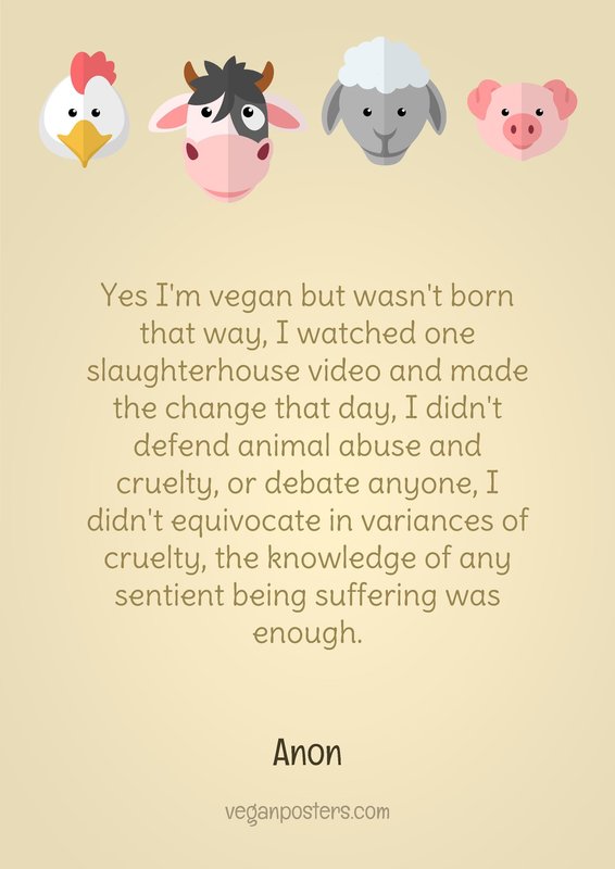Yes I'm vegan but wasn't born that way, I watched one slaughterhouse video and made the change that day, I didn't defend animal abuse and cruelty, or debate anyone, I didn't equivocate in variances of cruelty, the knowledge of any sentient being suffering was enough.