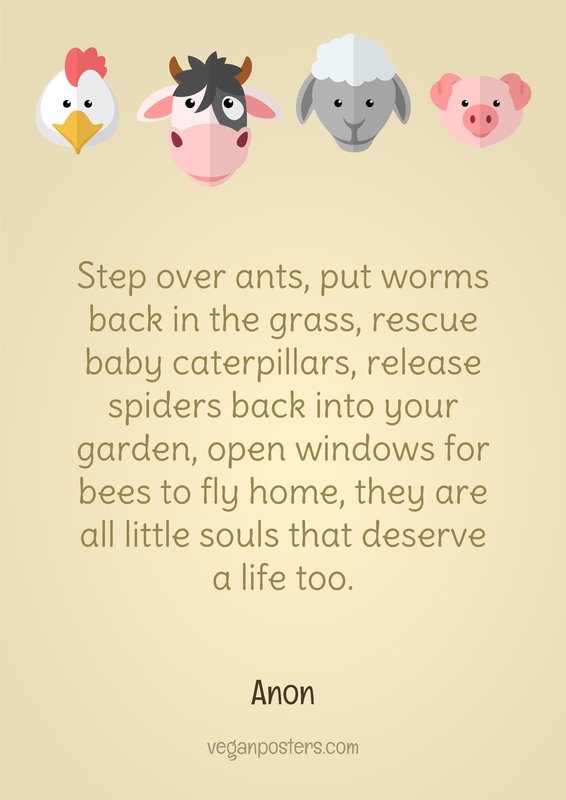 Step over ants, put worms back in the grass, rescue baby caterpillars, release spiders back into your garden, open windows for bees to fly home, they are all little souls that deserve a life too.