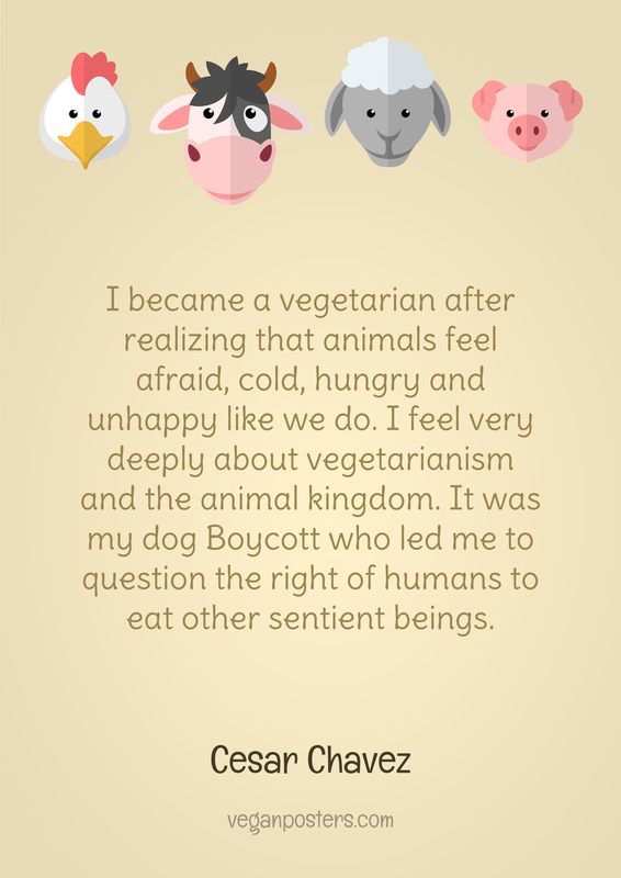 I became a vegetarian after realizing that animals feel afraid, cold, hungry and unhappy like we do. I feel very deeply about vegetarianism and the animal kingdom. It was my dog Boycott who led me to question the right of humans to eat other sentient beings.