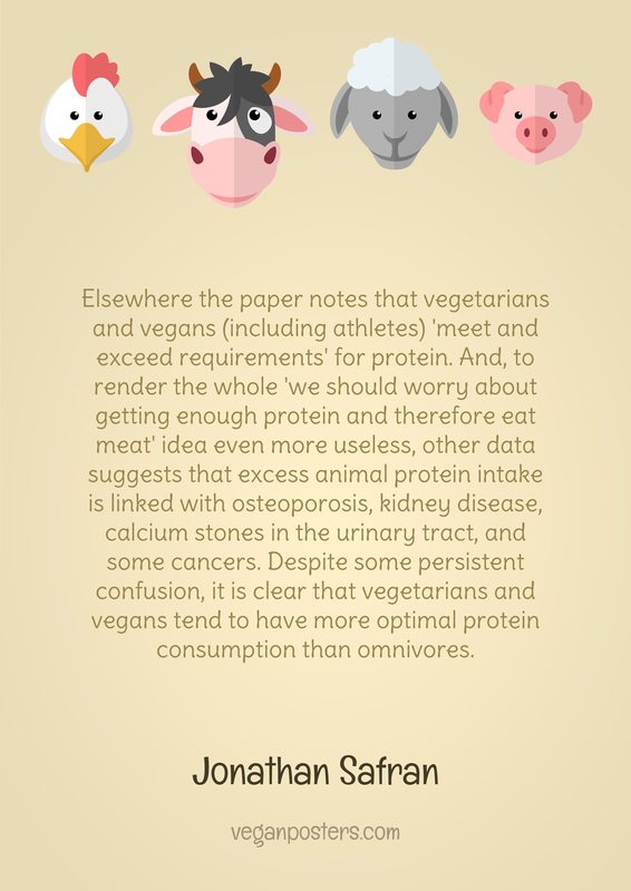 Elsewhere the paper notes that vegetarians and vegans (including athletes) 'meet and exceed requirements' for protein. And, to render the whole 'we should worry about getting enough protein and therefore eat meat' idea even more useless, other data suggests that excess animal protein intake is linked with osteoporosis, kidney disease, calcium stones in the urinary tract, and some cancers. Despite some persistent confusion, it is clear that vegetarians and vegans tend to have more optimal protein consumption than omnivores.