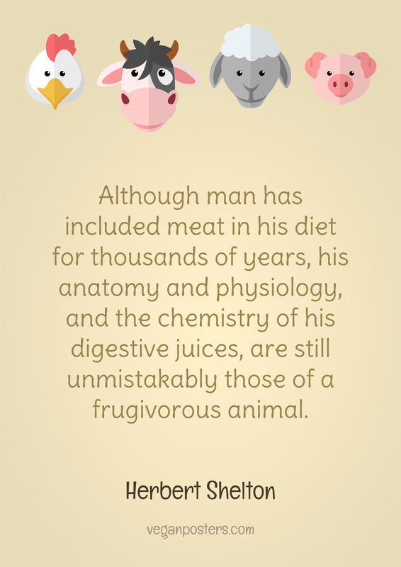 Although man has included meat in his diet for thousands of years, his anatomy and physiology, and the chemistry of his digestive juices, are still unmistakably those of a frugivorous animal.