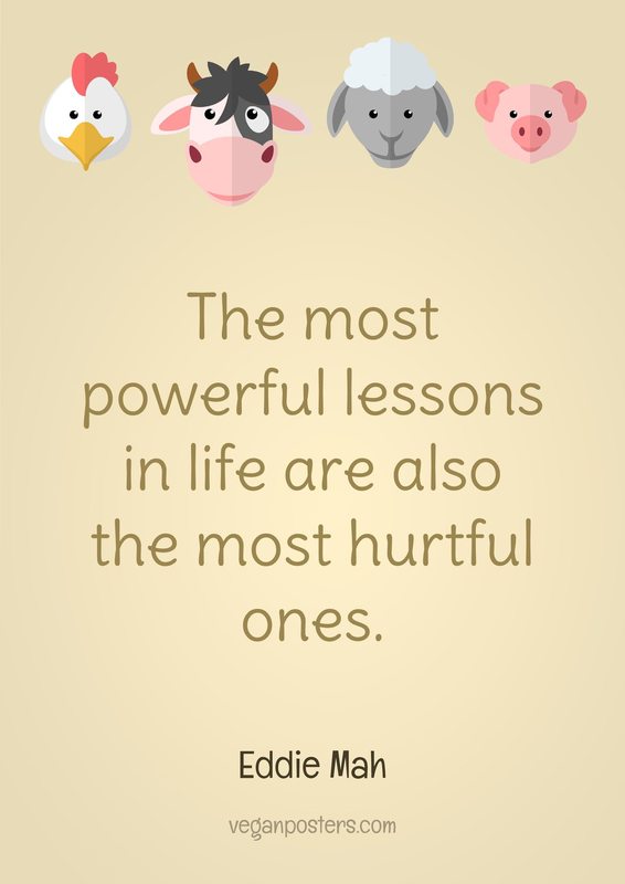 The most powerful lessons in life are also the most hurtful ones.