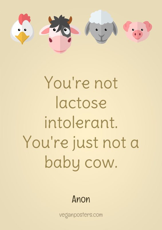 You're not lactose intolerant. You're just not a baby cow.