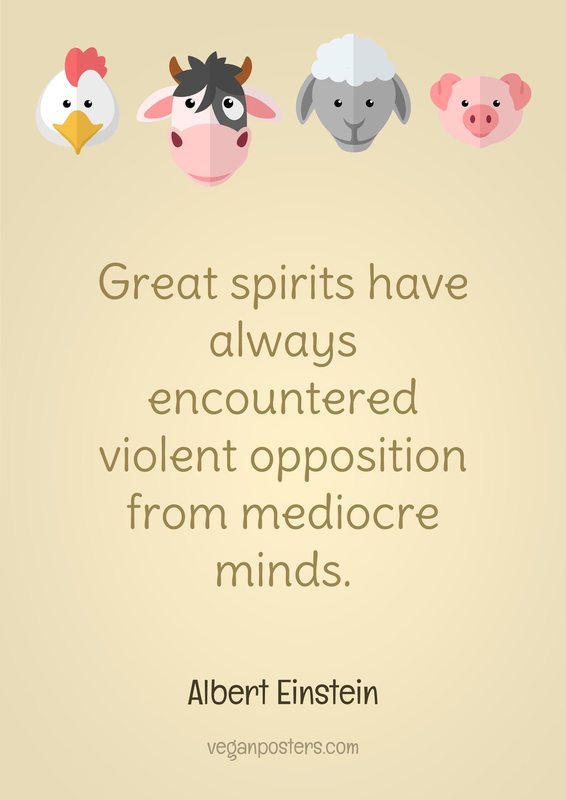 Great spirits have always encountered violent opposition from mediocre minds.
