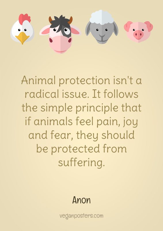 Animal protection isn't a radical issue. It follows the simple principle that if animals feel pain, joy and fear, they should be protected from suffering.
