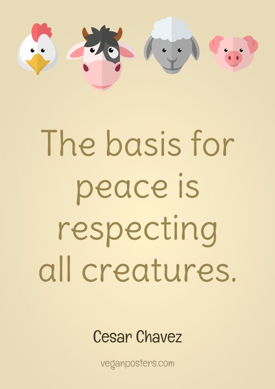 The basis for peace is respecting all creatures.