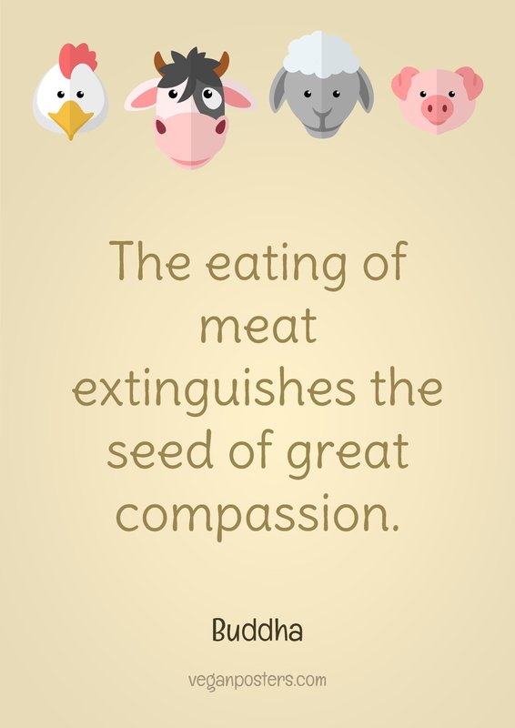 The eating of meat extinguishes the seed of great compassion.