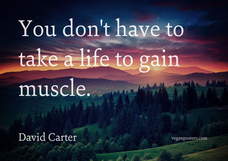 You don't have to take a life to gain muscle.