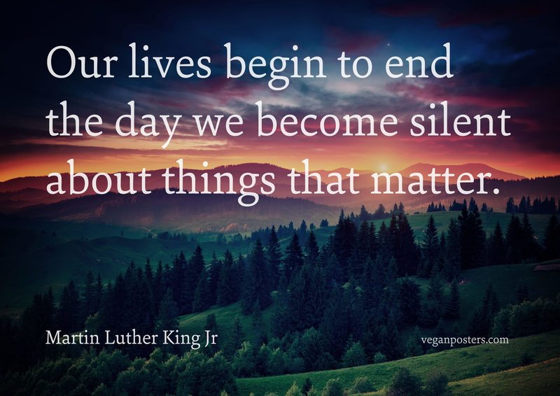 Design: Back To The Old House Our lives begin to end the day we become silent about things that matter.