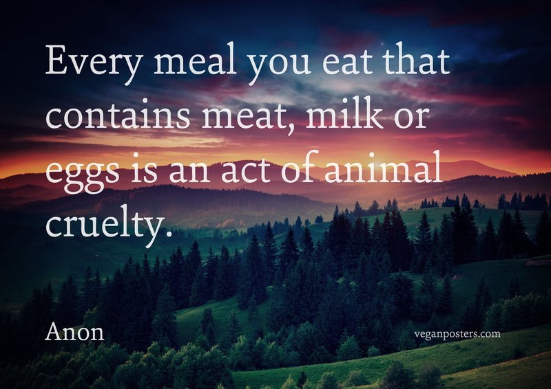 Every meal you eat that contains meat, milk or eggs is an act of animal cruelty.