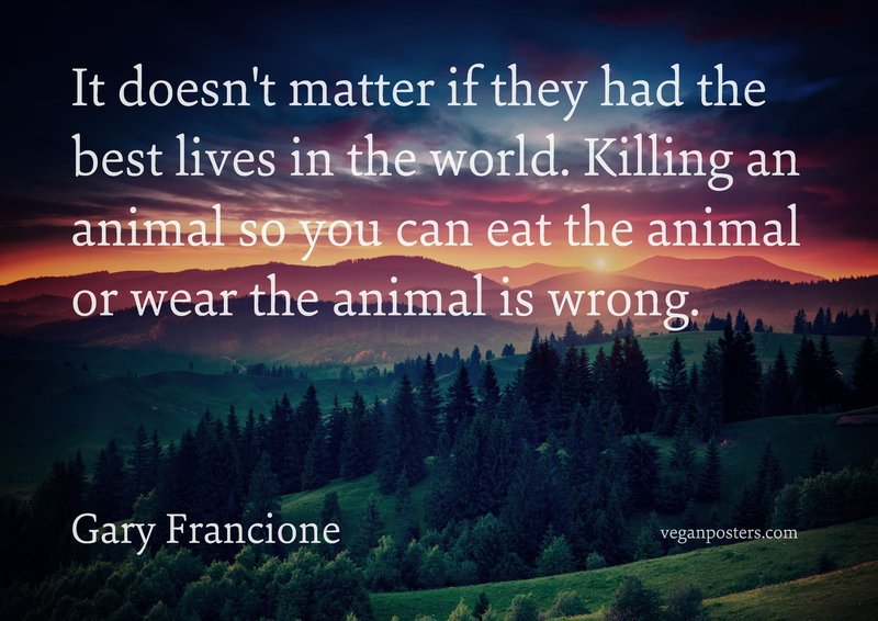 It doesn’t matter if they had the best lives in the world. Killing an animal so you can eat the animal or wear the animal is wrong.