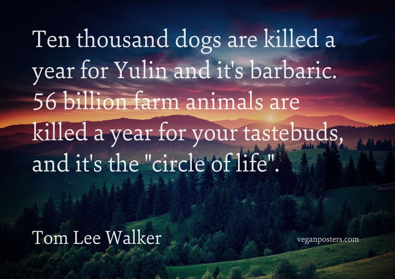 Ten thousand dogs are killed a year for Yulin and it's barbaric. 56 billion farm animals are killed a year for your tastebuds, and it's the "circle of life".