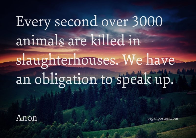 Every second over 3000 animals are killed in slaughterhouses. We have an obligation to speak up.
