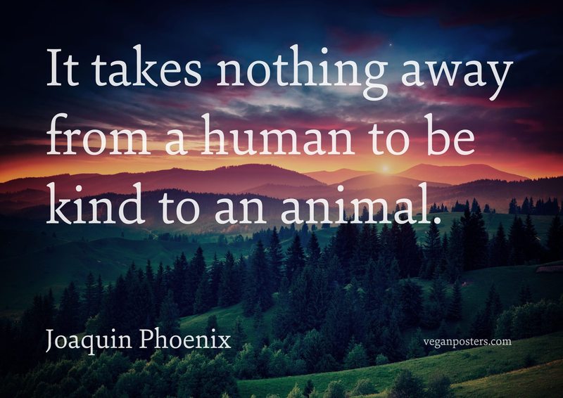 It takes nothing away from a human to be kind to an animal.