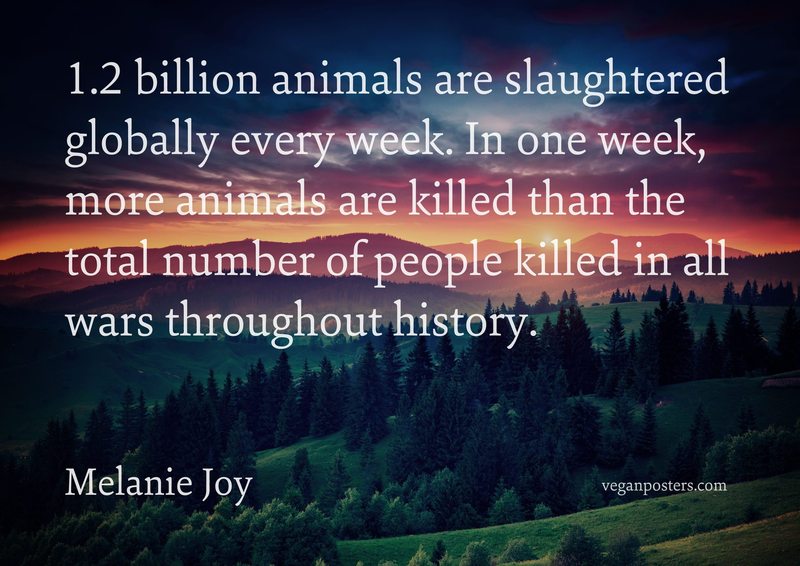 1.2 billion animals are slaughtered globally every week. In one week, more animals are killed than the total number of people killed in all wars throughout history.