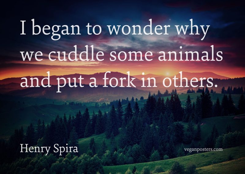 I began to wonder why we cuddle some animals and put a fork in others.