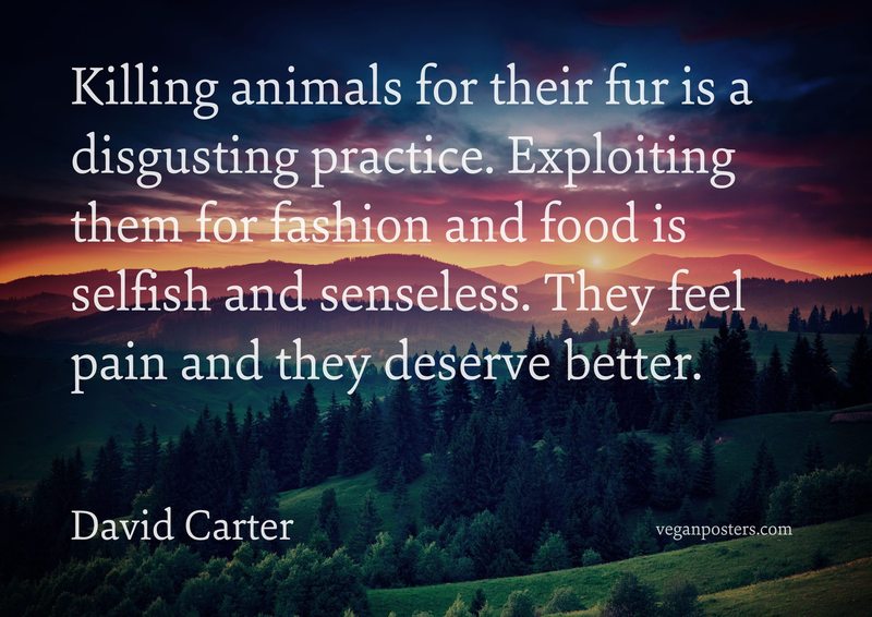 Killing animals for their fur is a disgusting practice. Exploiting them for fashion and food is selfish and senseless. They feel pain and they deserve better.