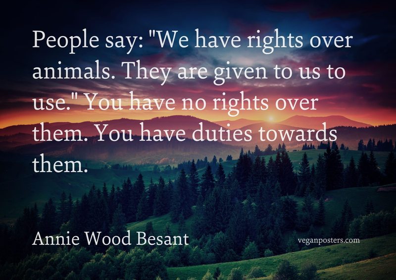 People say: "We have rights over animals. They are given to us to use." You have no rights over them. You have duties towards them.