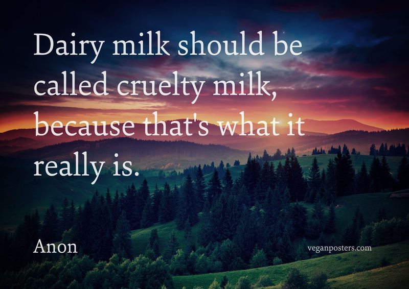 Dairy milk should be called cruelty milk, because that's what it really is.
