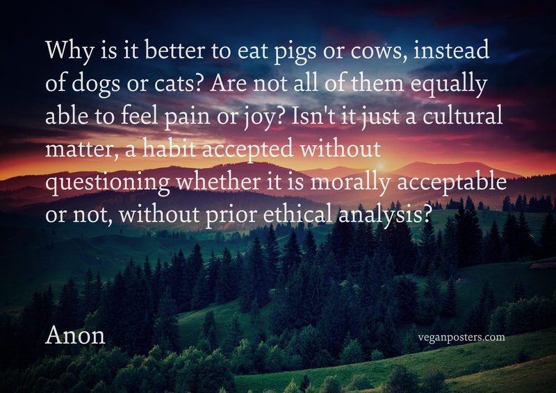 Why is it better to eat pigs or cows, instead of dogs or cats? Are not all of them equally able to feel pain or joy? Isn't it just a cultural matter, a habit accepted without questioning whether it is morally acceptable or not, without prior ethical analysis?