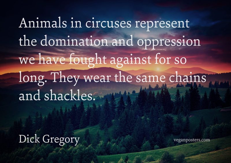 Animals in circuses represent the domination and oppression we have fought against for so long. They wear the same chains and shackles.