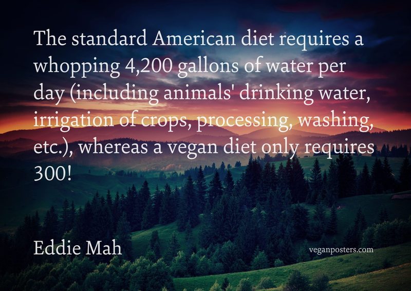 The standard American diet requires a whopping 4,200 gallons of water per day (including animals' drinking water, irrigation of crops, processing, washing, etc.), whereas a vegan diet only requires 300!