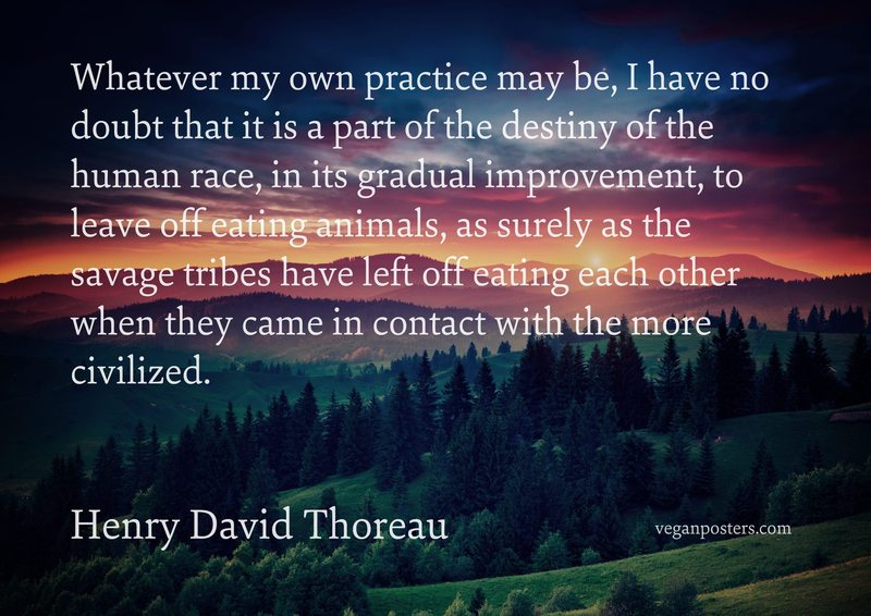 Whatever my own practice may be, I have no doubt that it is a part of the destiny of the human race, in its gradual improvement, to leave off eating animals, as surely as the savage tribes have left off eating each other when they came in contact with the more civilized.