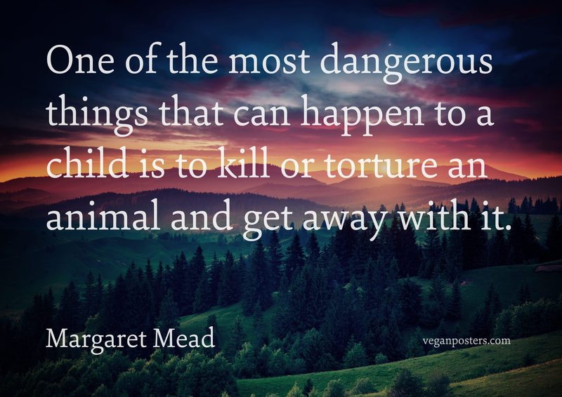 One of the most dangerous things that can happen to a child is to kill or torture an animal and get away with it.
