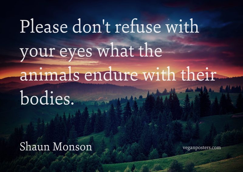 Please don't refuse with your eyes what the animals endure with their bodies.