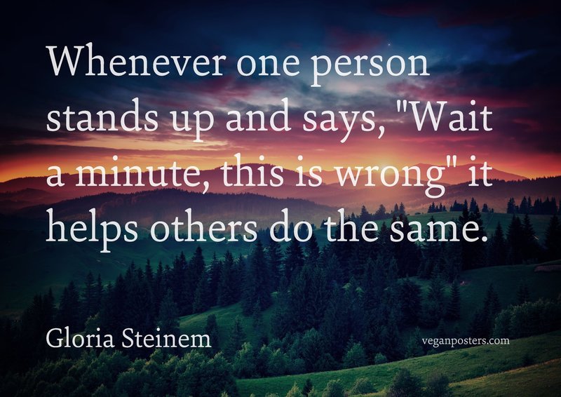 Whenever one person stands up and says, "Wait a minute, this is wrong" it helps others do the same.