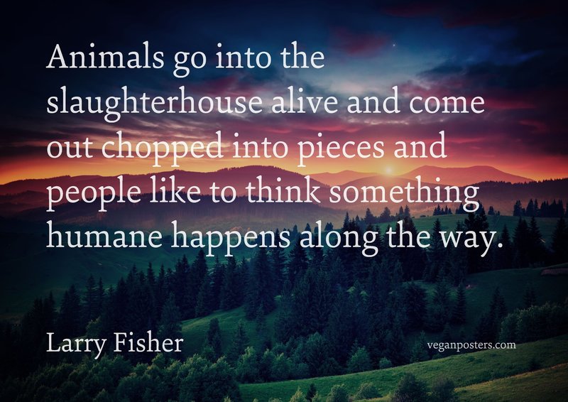 Animals go into the slaughterhouse alive and | Vegan Posters