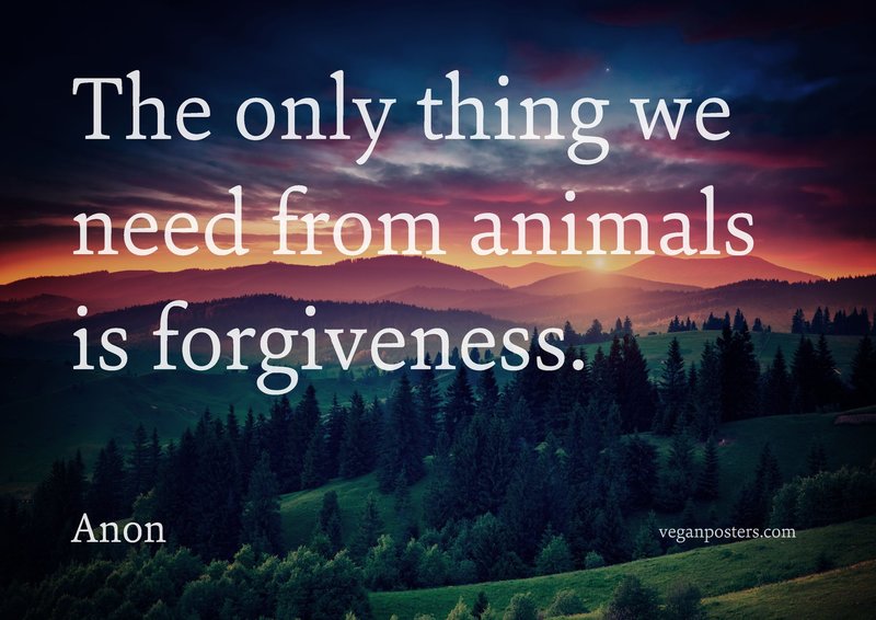 The only thing we need from animals is forgiveness.