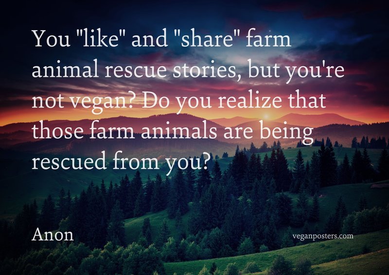 You "like" and "share" farm animal rescue stories, but you're not vegan? Do you realize that those farm animals are being rescued from you?