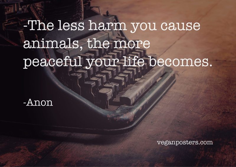 The less harm you cause animals, the more peaceful your life becomes.