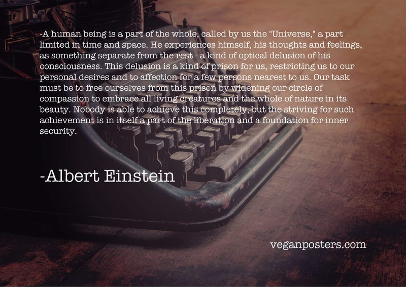 A human being is a part of the whole, called by us the "Universe," a part limited in time and space. He experiences himself, his thoughts and feelings, as something separate from the rest - a kind of optical delusion of his consciousness. This delusion is a kind of prison for us, restricting us to our personal desires and to affection for a few persons nearest to us. Our task must be to free ourselves from this prison by widening our circle of compassion to embrace all living creatures and the whole of nature in its beauty. Nobody is able to achieve this completely, but the striving for such achievement is in itself a part of the liberation and a foundation for inner security.
