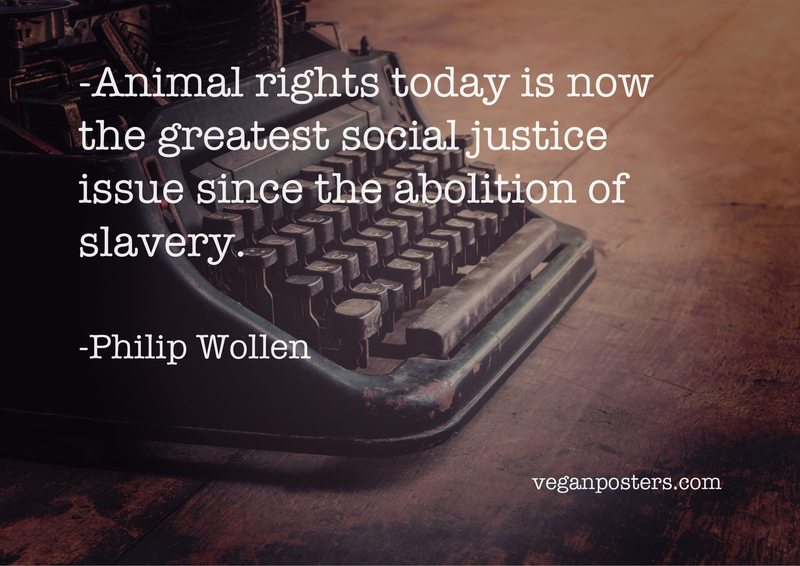 Animal rights today is now the greatest social justice issue since the abolition of slavery.