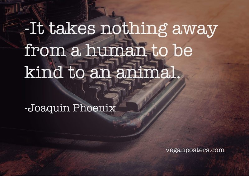It takes nothing away from a human to be kind to an animal.