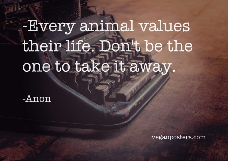 Every animal values their life. Don't be the one to take it away.