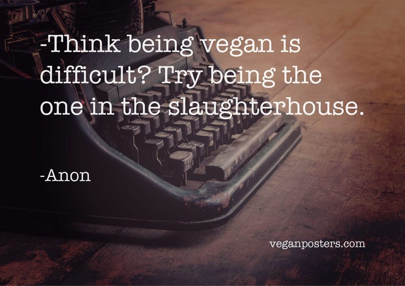 Think being vegan is difficult? Try being the one in the slaughterhouse.