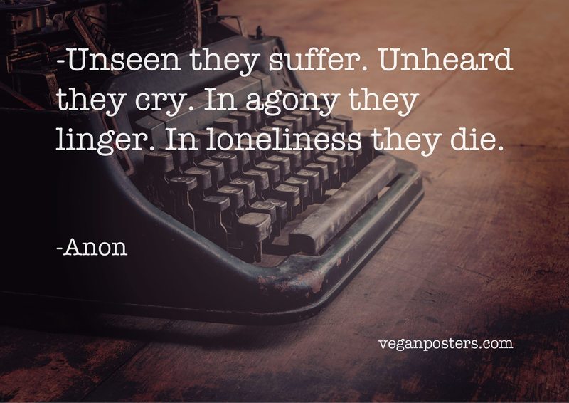 Unseen they suffer. Unheard they cry. In agony they linger. In loneliness they die.