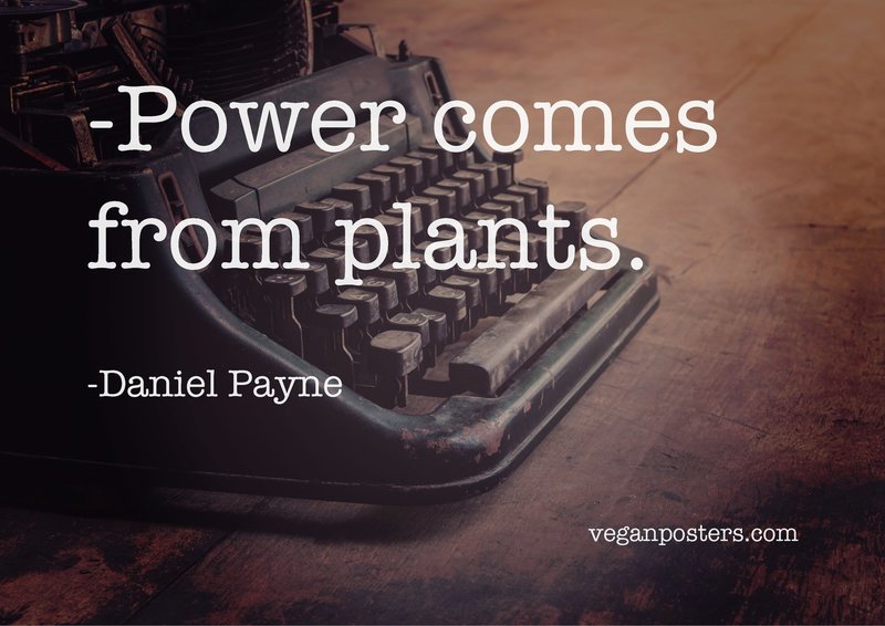 Power comes from plants.