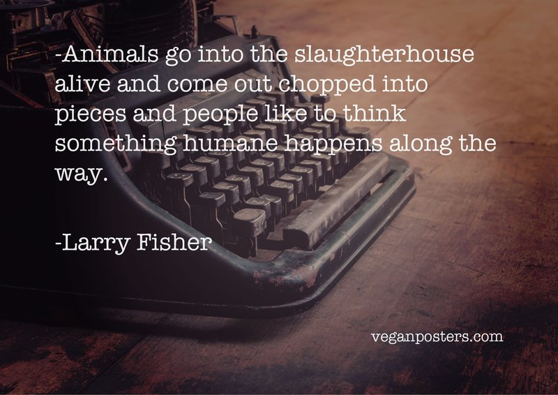 Animals go into the slaughterhouse alive and | Vegan Posters