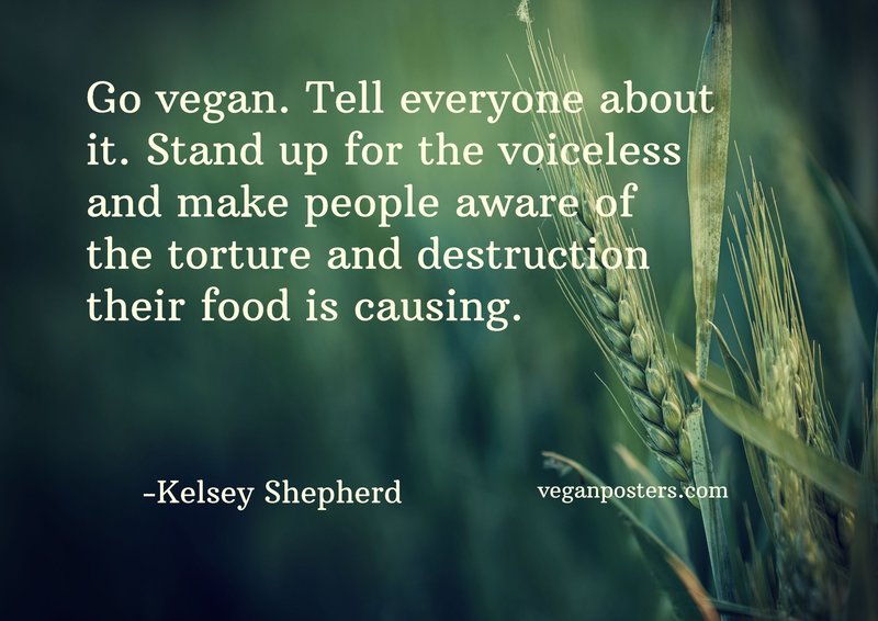 Go vegan. Tell everyone about it. Stand up for the voiceless and make people aware of the torture and destruction their food is causing.