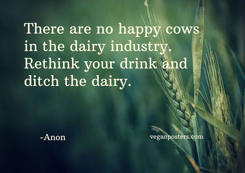 There are no happy cows in the dairy industry. Rethink your drink and ditch the dairy.