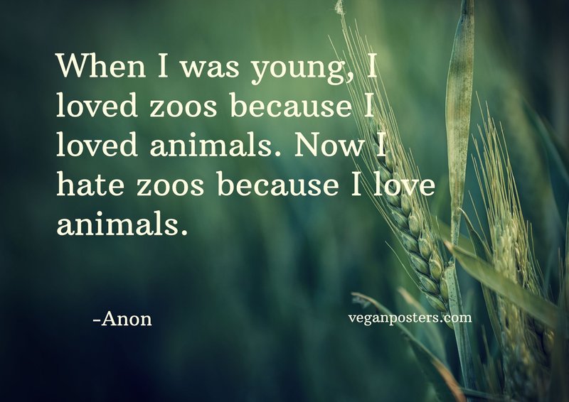 When I was young, I loved zoos because I loved animals. Now I hate zoos because I love animals.