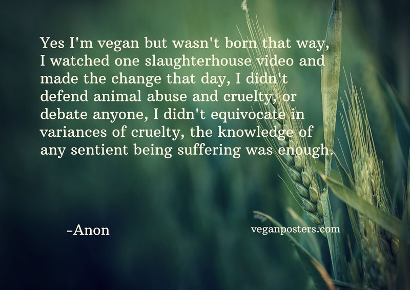 Yes I'm vegan but wasn't born that way, I watched one slaughterhouse video and made the change that day, I didn't defend animal abuse and cruelty, or debate anyone, I didn't equivocate in variances of cruelty, the knowledge of any sentient being suffering was enough.