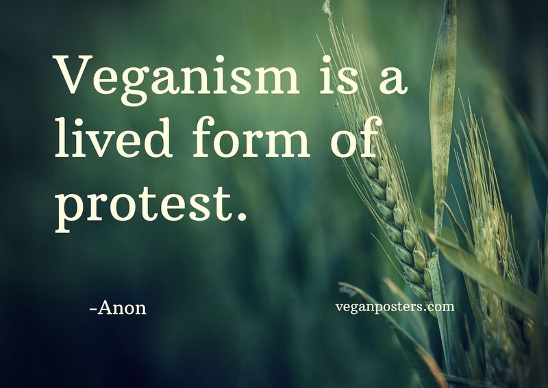 Veganism is a lived form of protest.
