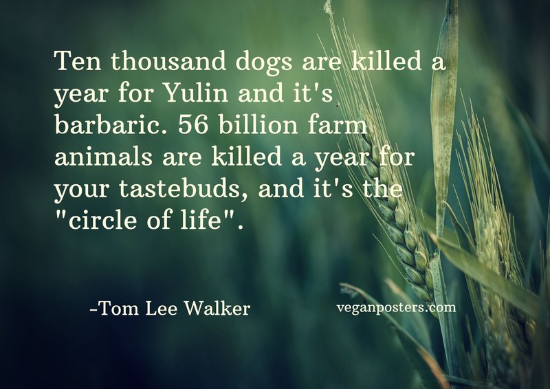 Ten thousand dogs are killed a year for Yulin and it's barbaric. 56 billion farm animals are killed a year for your tastebuds, and it's the "circle of life".
