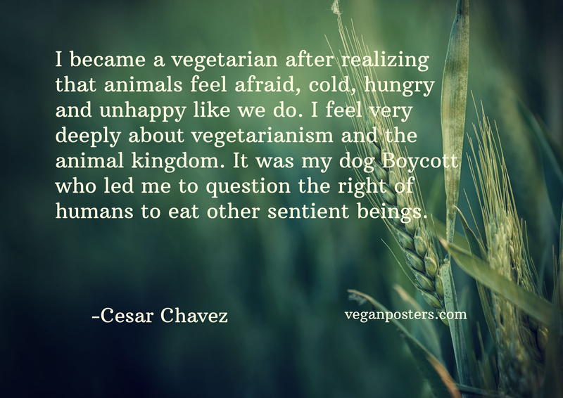 I became a vegetarian after realizing that animals feel afraid, cold, hungry and unhappy like we do. I feel very deeply about vegetarianism and the animal kingdom. It was my dog Boycott who led me to question the right of humans to eat other sentient beings.